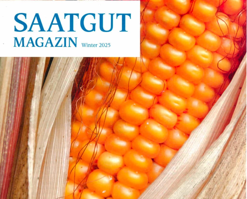 Innovation in der Saatgutbehandlung: ­Mit Elektronen zu mehr Ertrag