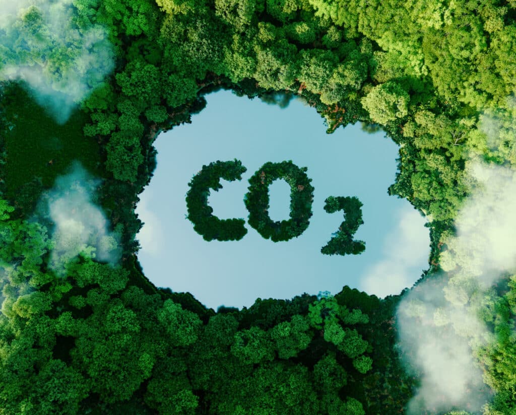 CO₂-Reduktion und Bodenaufbau: E-VITA setzt neue Maßstäbe