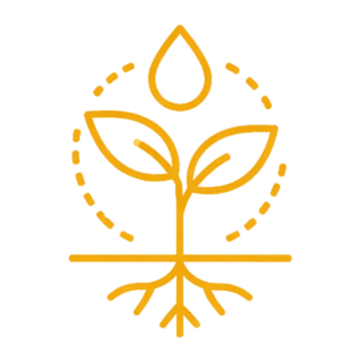 Unsere Werte & Nachhaltigkeit