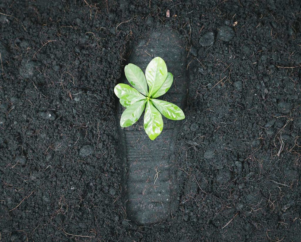 CO₂-Reduktion und Bodenaufbau: E-VITA setzt neue Maßstäbe