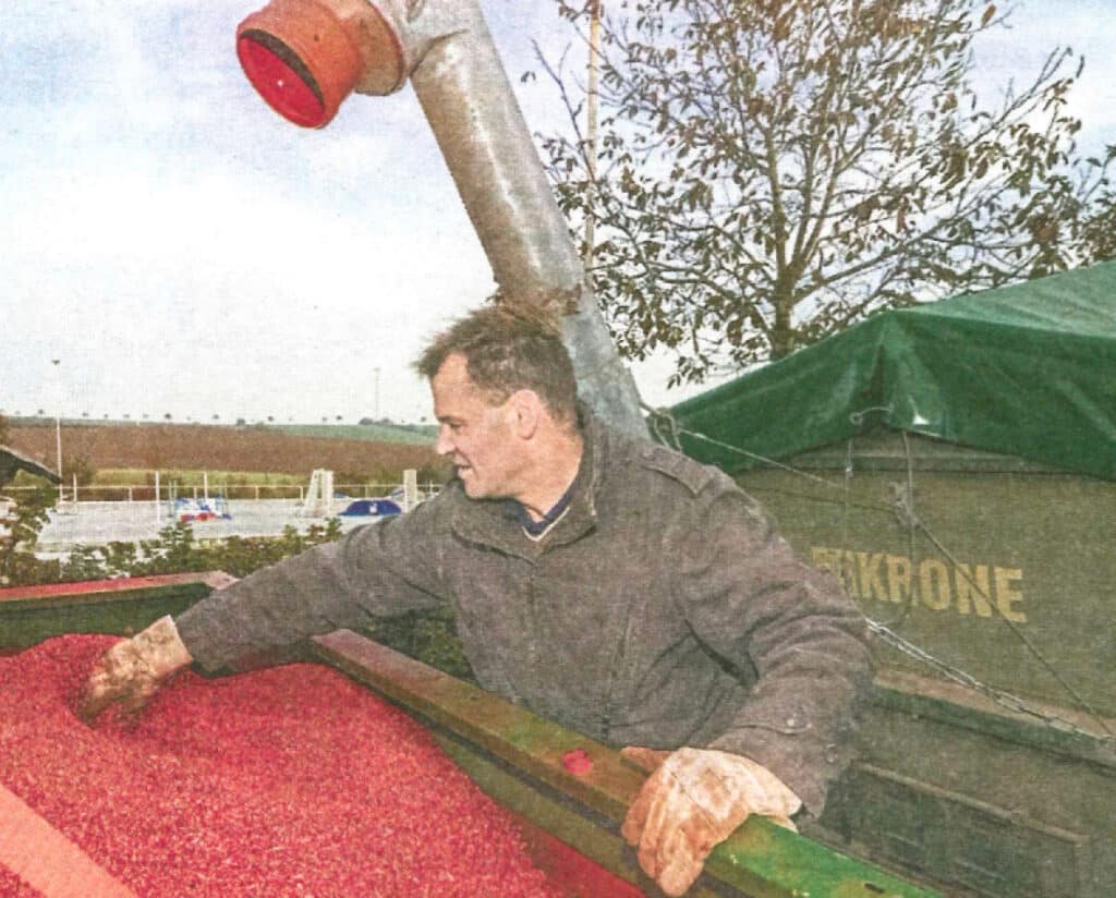 Weniger Beizmittel: Elektronenbehandlung als Alternative